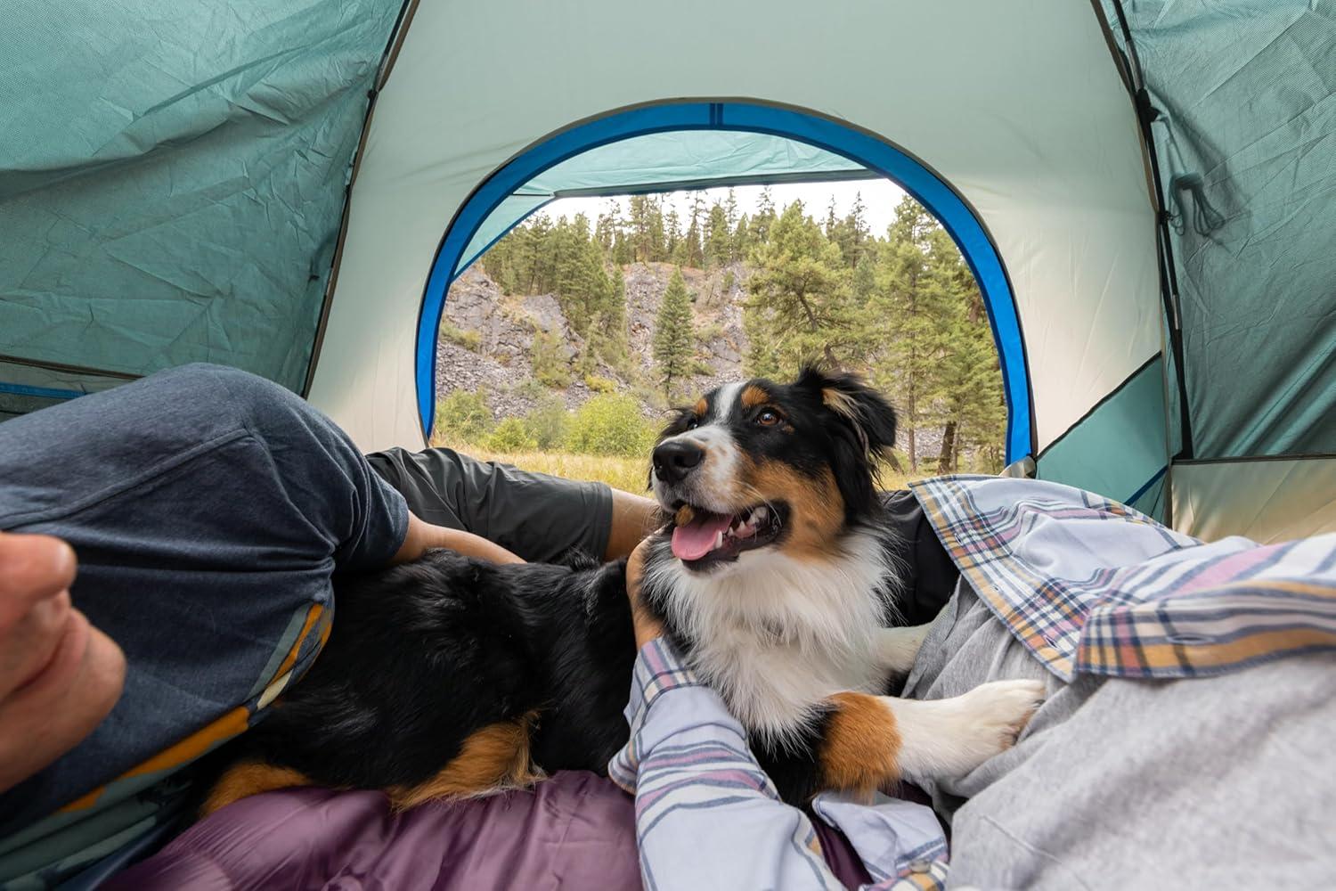 imageColeman Skydome Tent with 5 Minute Setup 2468Person Weatherproof Tent with Rainfly ampamp Carry Bag 20 More Headroom Than Traditional CanopiesEvergreen