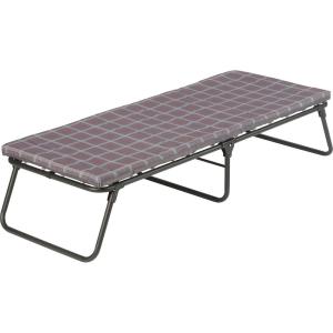 Coleman ComfortSmart Big & Tall Cot with Mattress Pad, Folding Steel Camp Bed with Plush Pad for Comfortable Sleeping, Great for Camping, Lounging, Elevated Sleeping, Guests, & More(Standard Size)