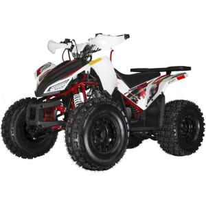 Coleman Powersports AT125Y 120cc Gas Powered Youth ATV, Hydraulic Disc Brakes, Independent Suspension, 175 lbs Maximum Load, Heavy-Duty Off-Road Utility Vehicle
